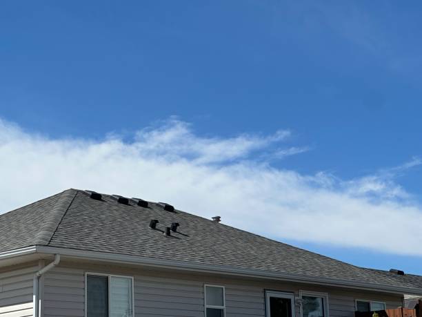Best Solar Panel Roofing Installation  in District Heights, MD